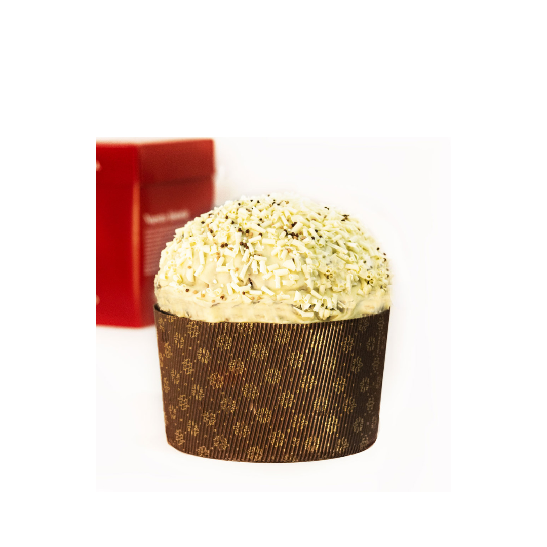 Diseño sin título (92)