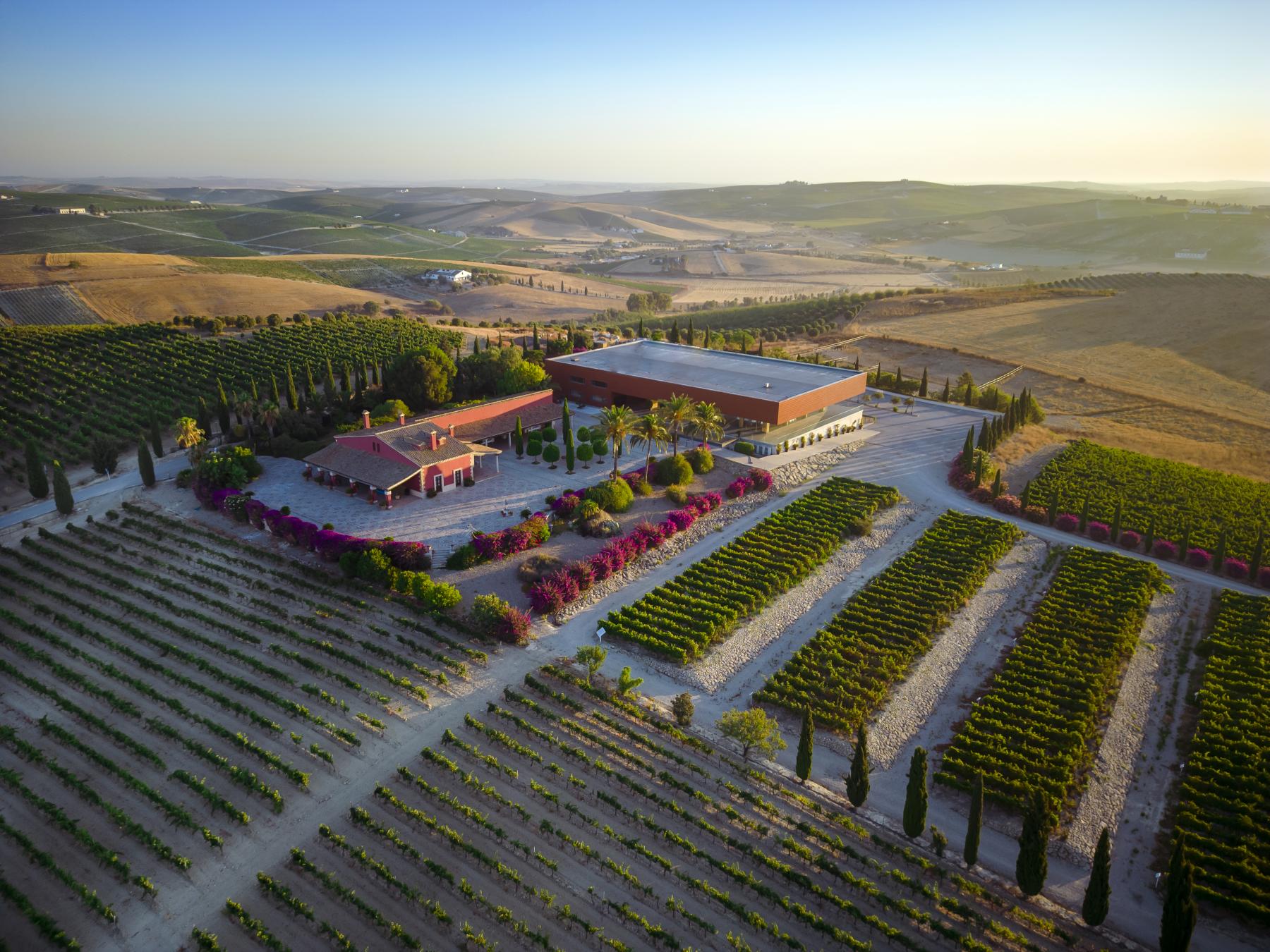 Nuestra visita a Bodegas Luis Perez